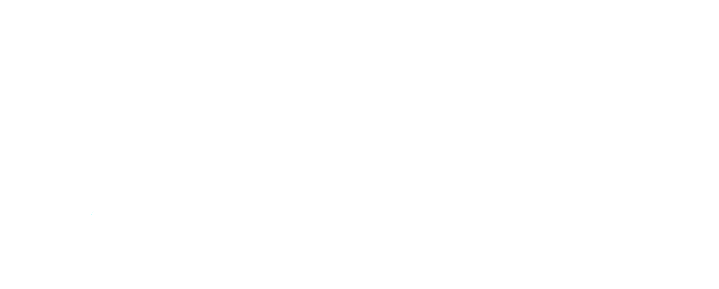 logo-whte